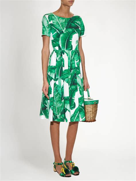 dolce gabbana green leaf dress|dolce and gabbana floral print dress.